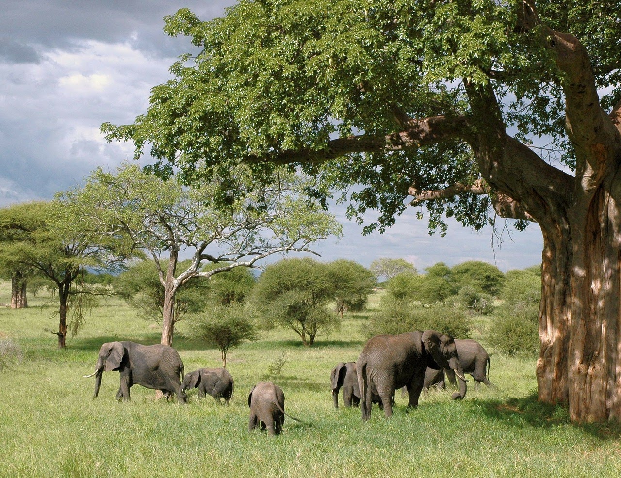 Bia National Park in Western North Region